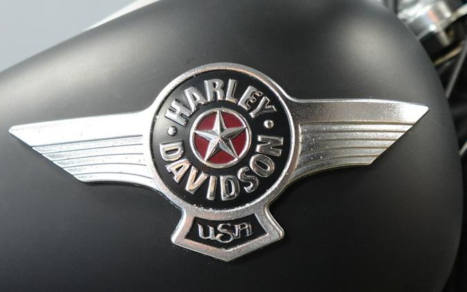 2011 Harley-Davidson Fat Boy Lo FLSTFB