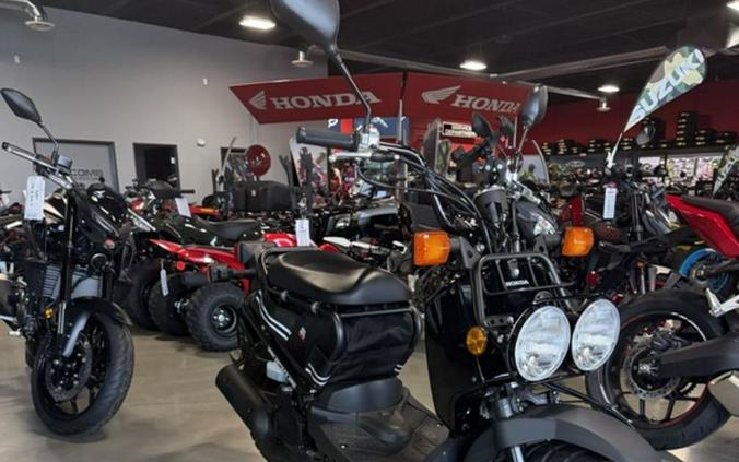 2024 Honda Ruckus Base