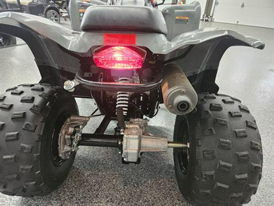 2023 Polaris Phoenix 200