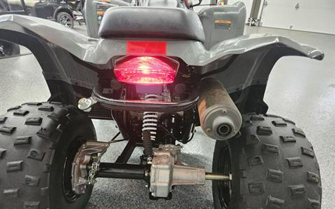 2023 Polaris Phoenix 200