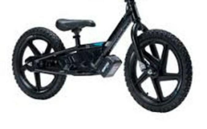 2025 STACYC 16eDrive Brushless