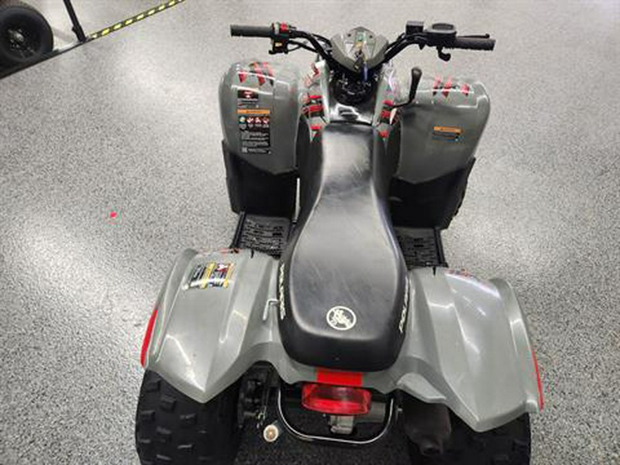 2023 Polaris Phoenix 200