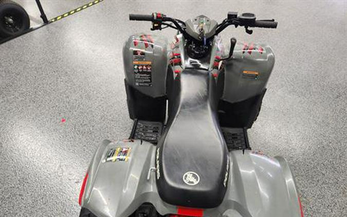 2023 Polaris Phoenix 200