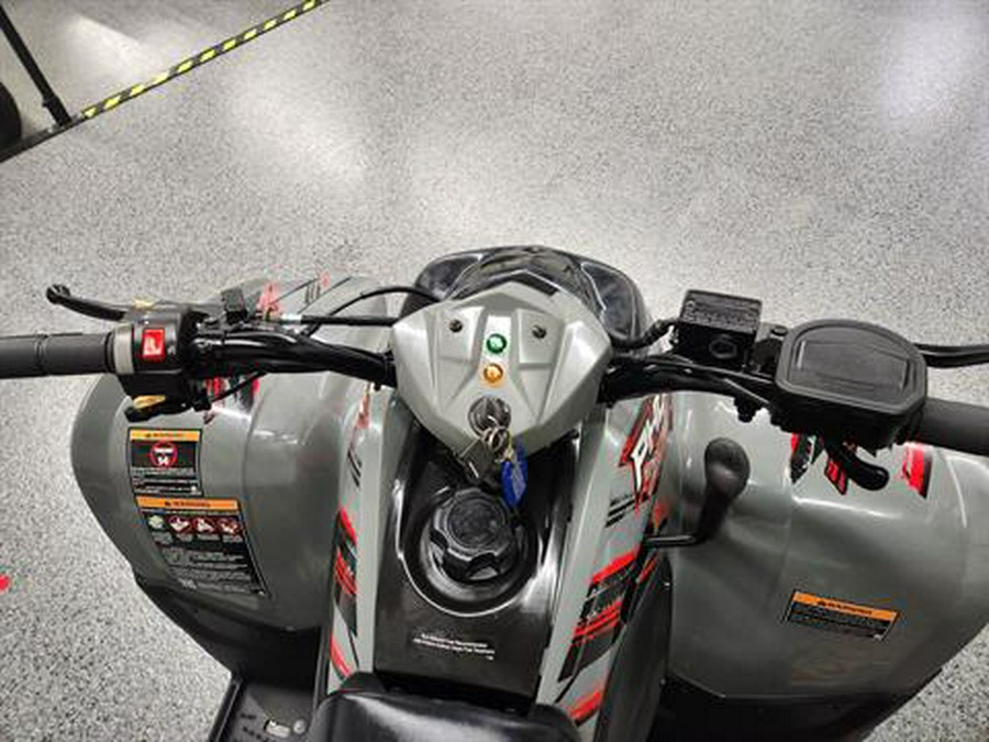 2023 Polaris Phoenix 200