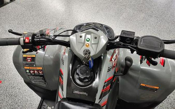 2023 Polaris Phoenix 200