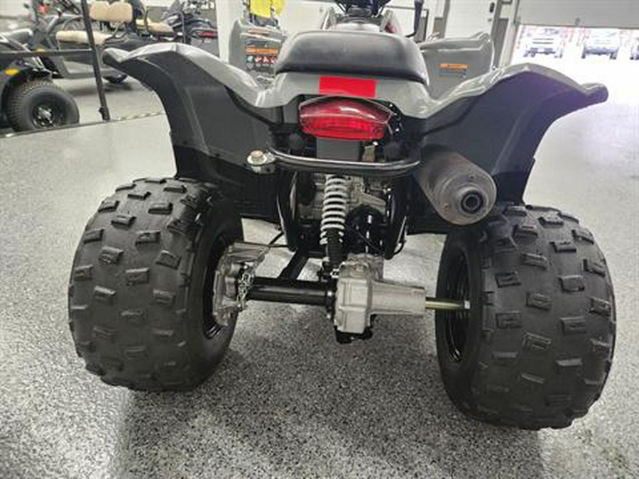 2023 Polaris Phoenix 200