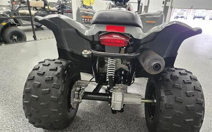 2023 Polaris Phoenix 200