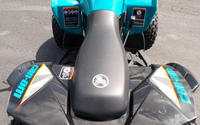 2024 Can-Am® Renegade 110 EFI