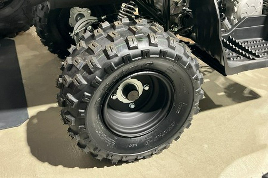 2026 Yamaha Raptor 110