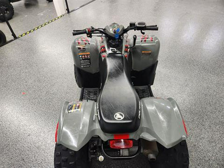 2023 Polaris Phoenix 200