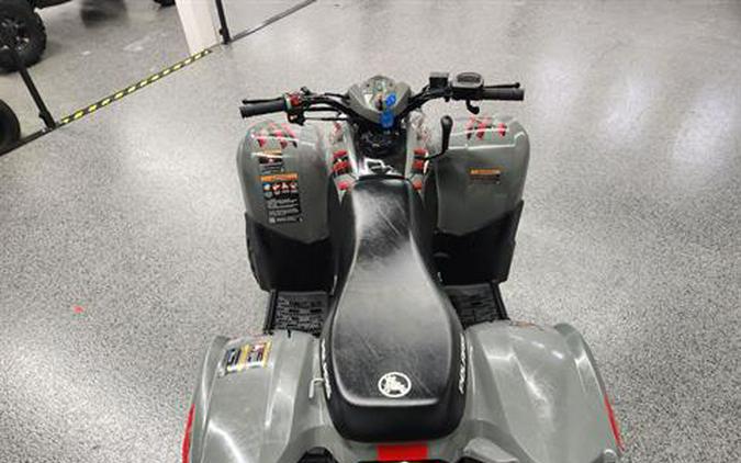 2023 Polaris Phoenix 200