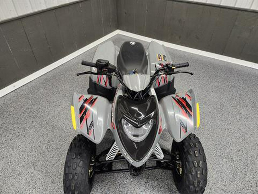 2023 Polaris Phoenix 200