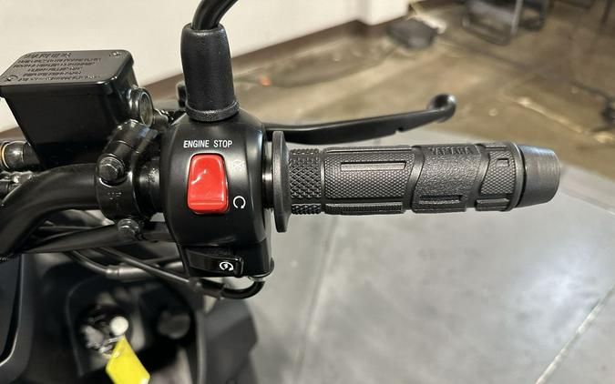 2025 Yamaha Zuma 125