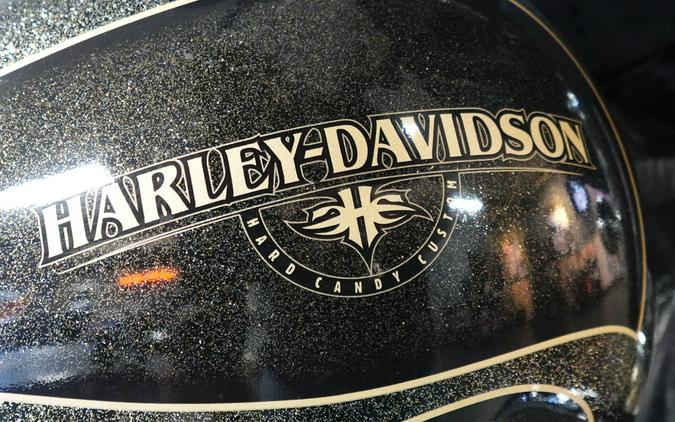 2016 Harley-Davidson Street Glide FLHXS