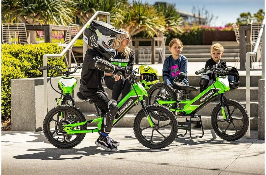 2023 Kawasaki Elektrode