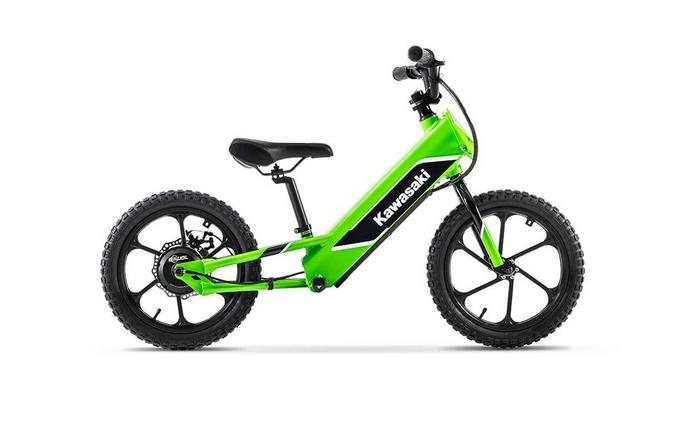 2023 Kawasaki Elektrode