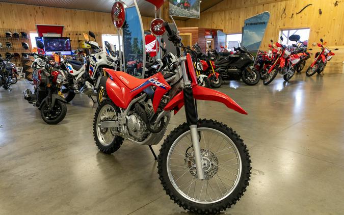 2024 Honda CRF® 250F - RED