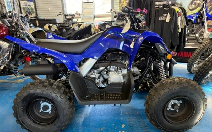 2025 Yamaha Raptor 110