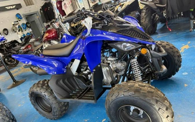 2025 Yamaha Raptor 110