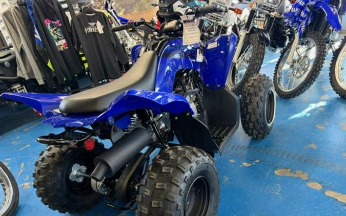 2025 Yamaha Raptor 110