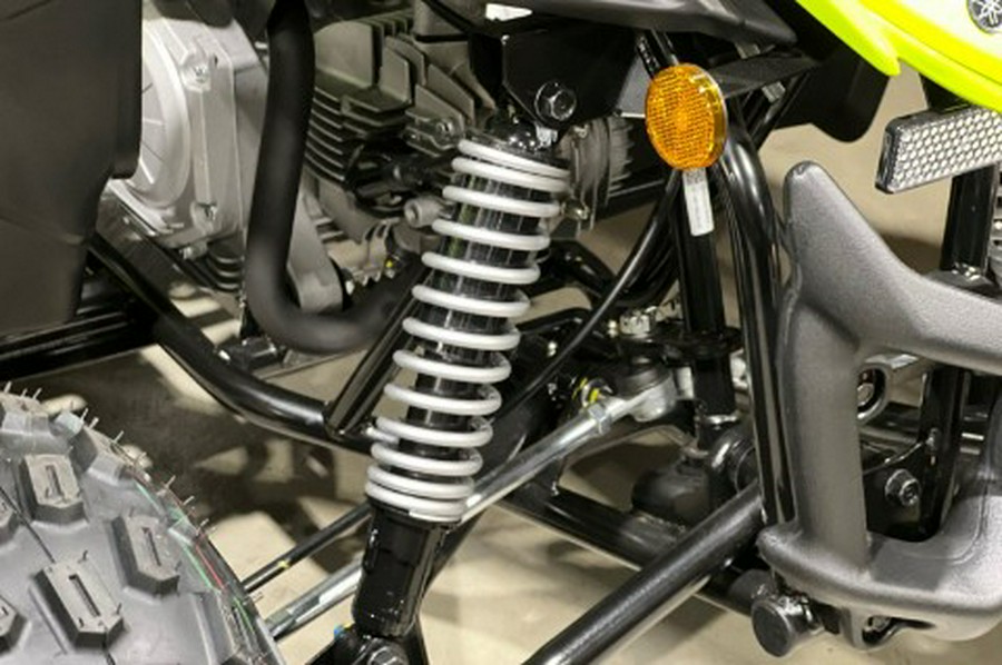2026 Yamaha Raptor 110