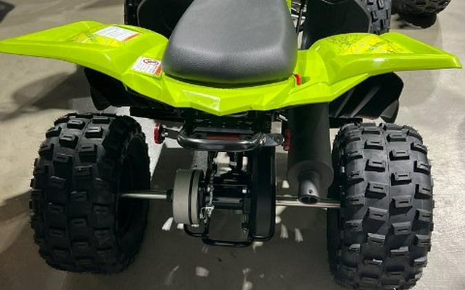 2026 Yamaha Raptor 110