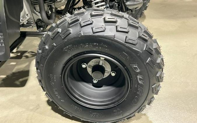 2026 Yamaha Raptor 110