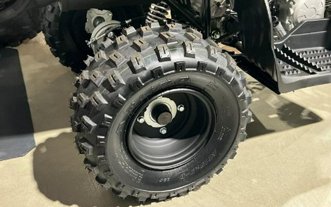 2026 Yamaha Raptor 110