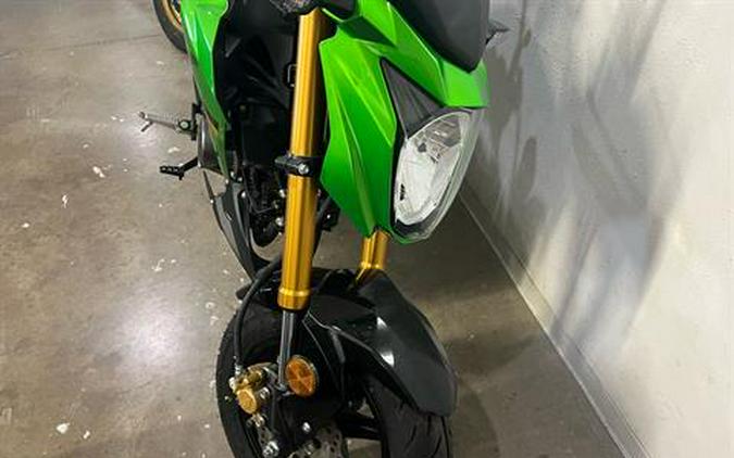 2024 Kawasaki Z125 Pro