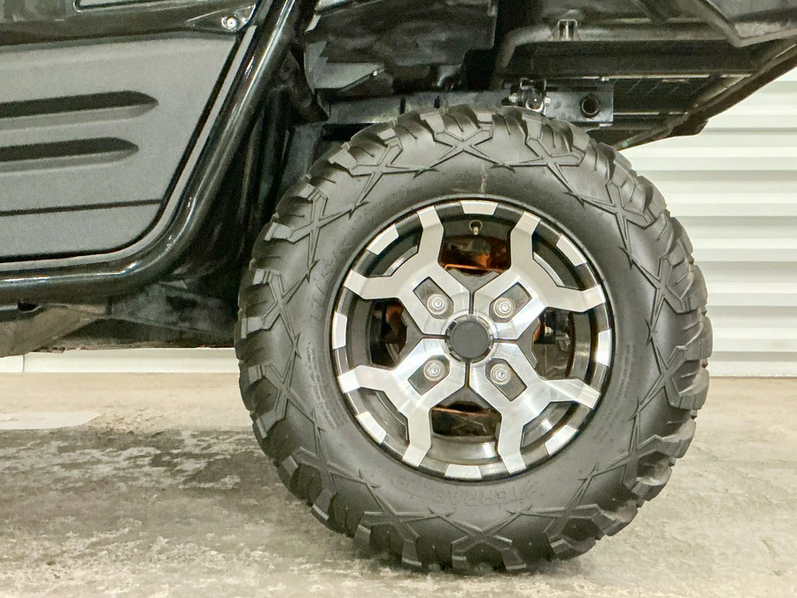 2019 Kawasaki Teryx4 LE