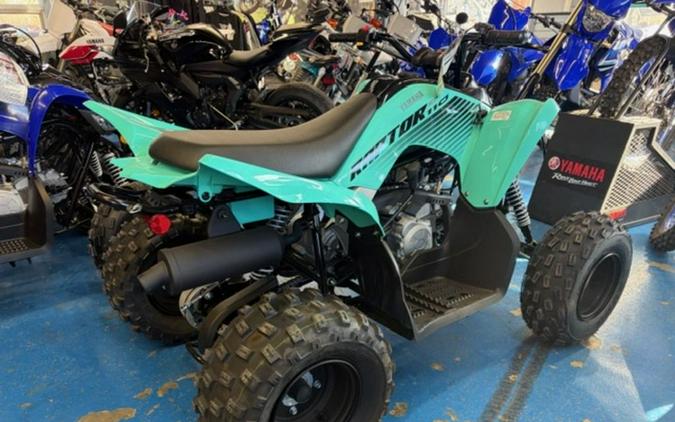 2025 Yamaha Raptor 110