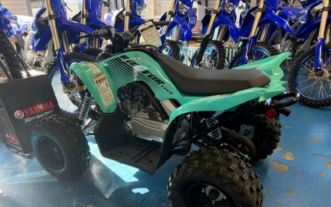 2025 Yamaha Raptor 110
