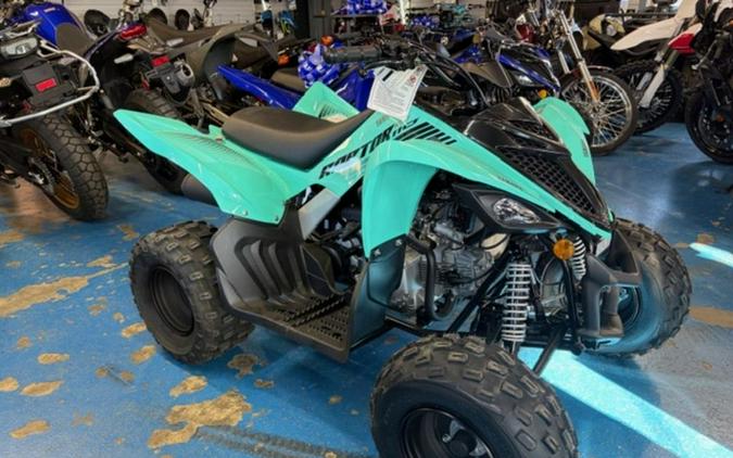 2025 Yamaha Raptor 110