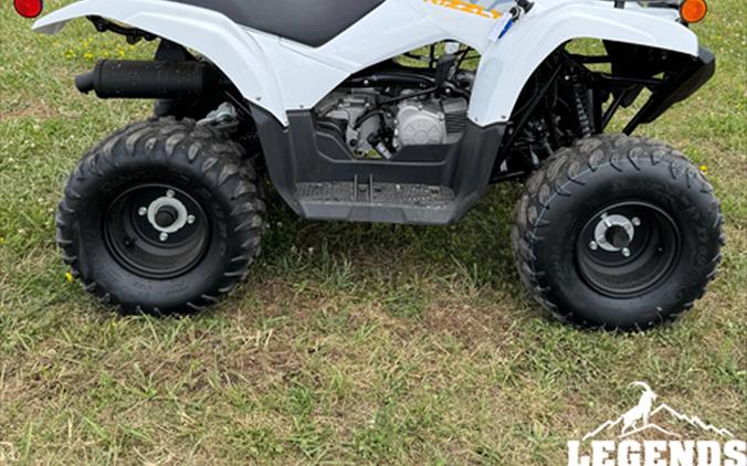 2024 Yamaha Grizzly 90