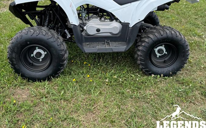 2024 Yamaha Grizzly 90