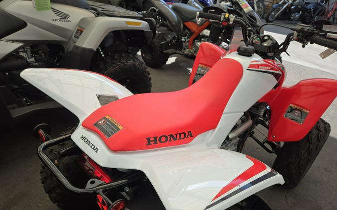 2024 Honda TRX250X