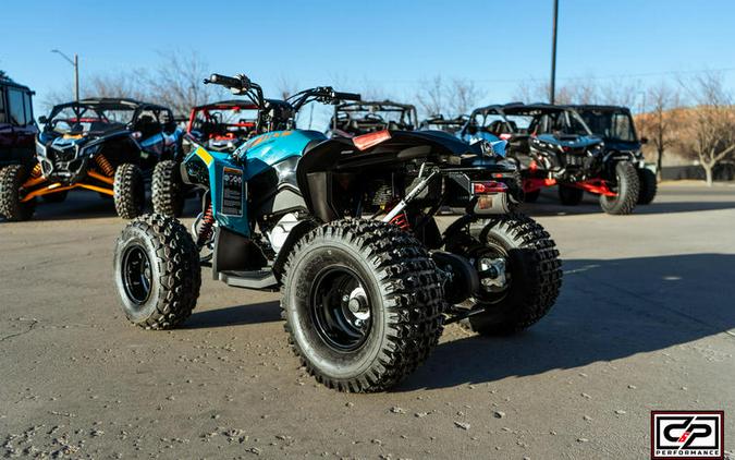 2026 Can-Am® Renegade 110 EFI