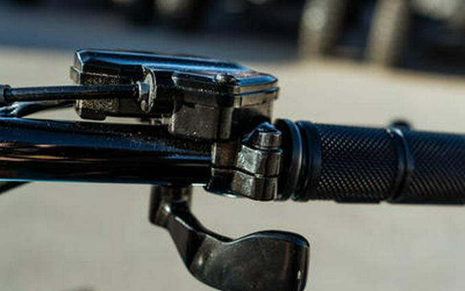 2026 Can-Am® Renegade 110 EFI