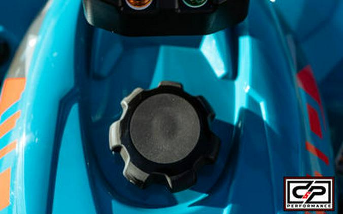 2026 Can-Am® Renegade 110 EFI