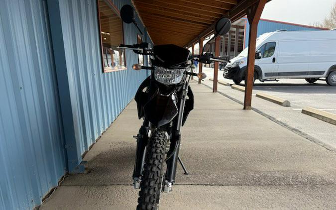 2022 Kawasaki KLX300 Dual Sport