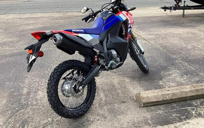 2025 Honda® CRF300L Rally ABS