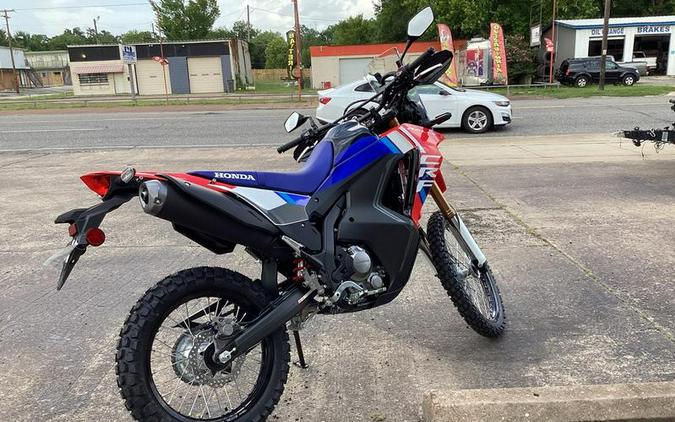 2025 Honda® CRF300L Rally ABS