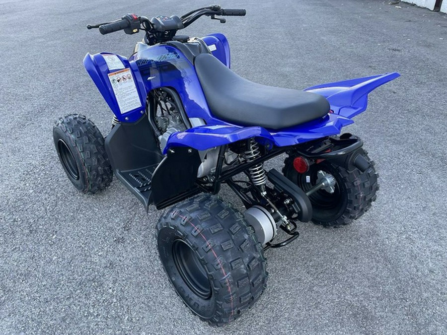 2024 Yamaha Raptor 110