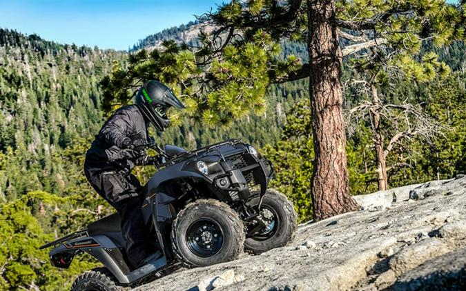 2025 Kawasaki Brute Force® 300