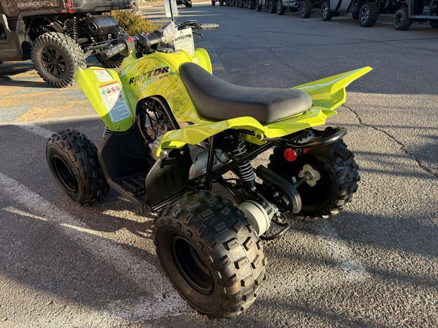 2026 Yamaha Raptor 110