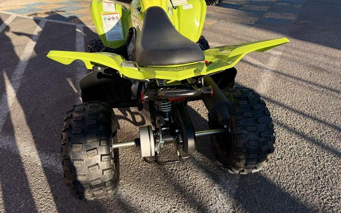 2026 Yamaha Raptor 110