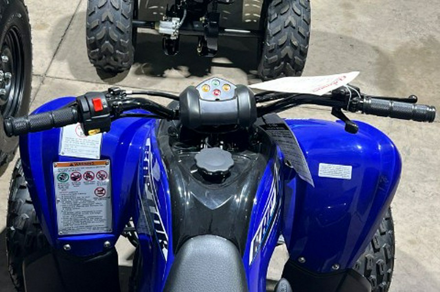 2026 Yamaha Raptor 110