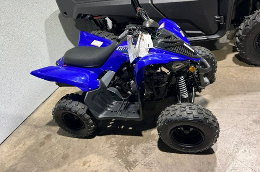 2026 Yamaha Raptor 110