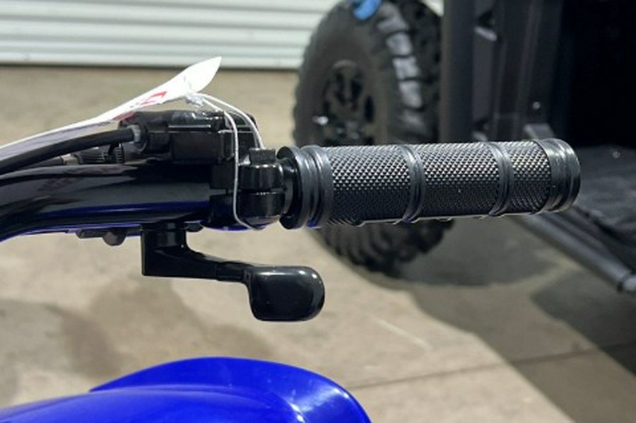 2026 Yamaha Raptor 110