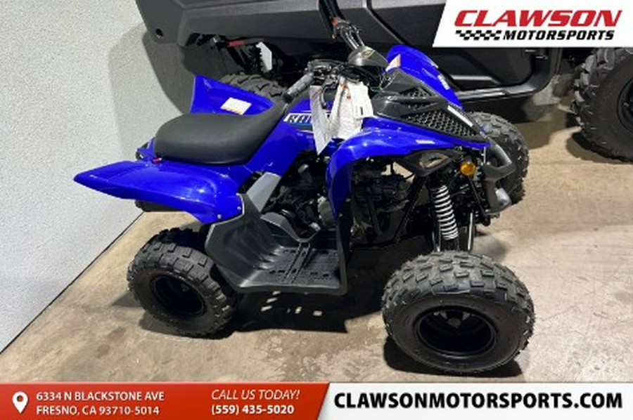 2026 Yamaha Raptor 110